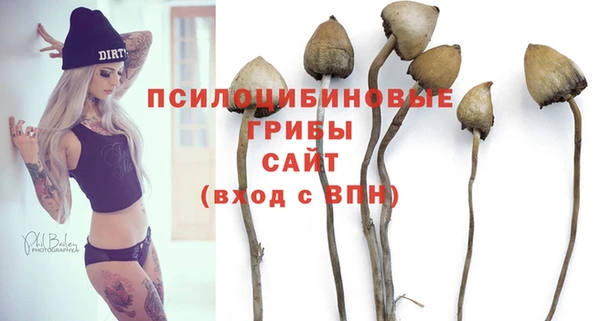 MESCALINE Медногорск