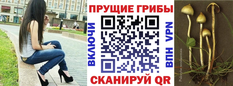 где можно купить   гидра tor  Галлюциногенные грибы ЛСД  Новоульяновск 